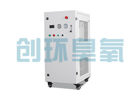 龙潭石斑鱼养殖水质调控完整指南：臭氧发生器配置与操作步骤