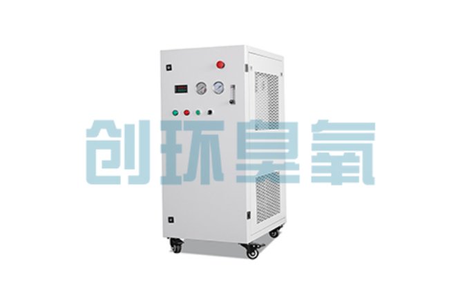 龙潭比传统换水更高效？臭氧发生器在石斑鱼养殖中的水质净化原理解析