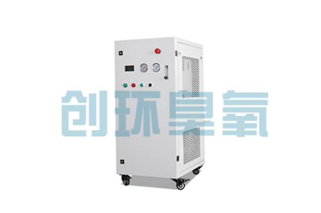 龙潭比传统换水更高效？臭氧发生器在石斑鱼养殖中的水质净化原理解析
